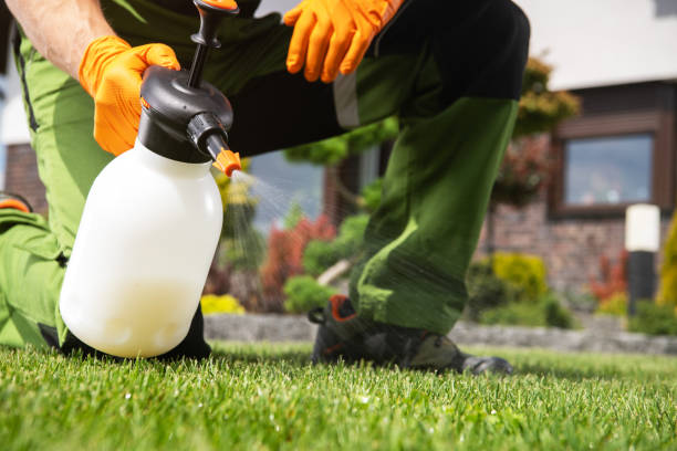 Best Residential Pest Control  in Corcoran, MN