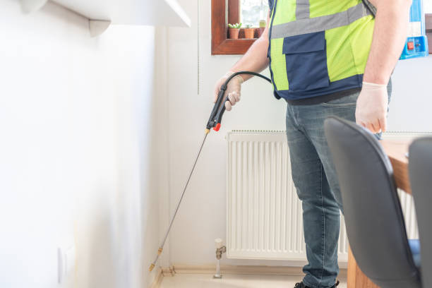 Best Wasp Removal Services  in Corcoran, MN