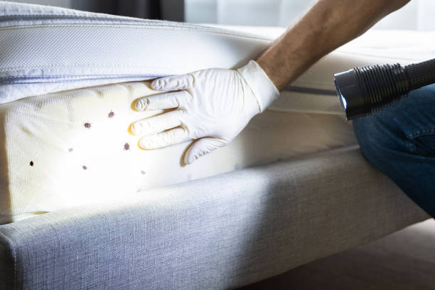 Best Commercial Pest Control Services  in Corcoran, MN
