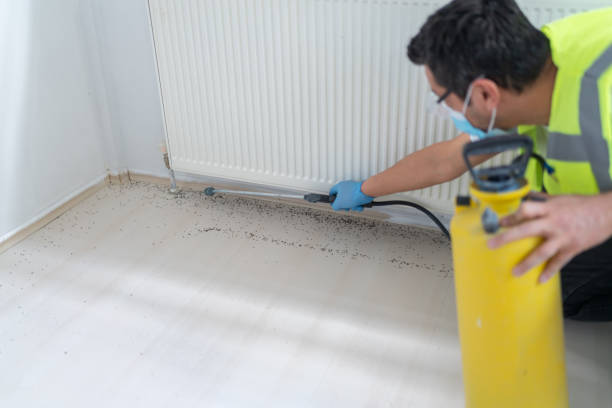 Best Cockroach Control Services  in Corcoran, MN