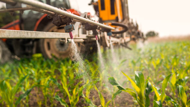 Best Best Pest Control Companies  in Corcoran, MN